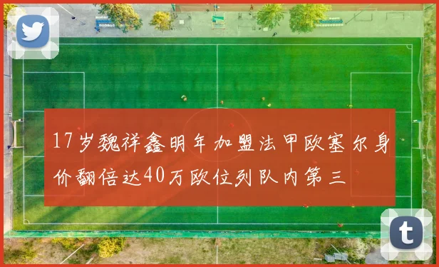 17岁魏祥鑫明年加盟法甲欧塞尔身价翻倍达40万欧位列队内第三