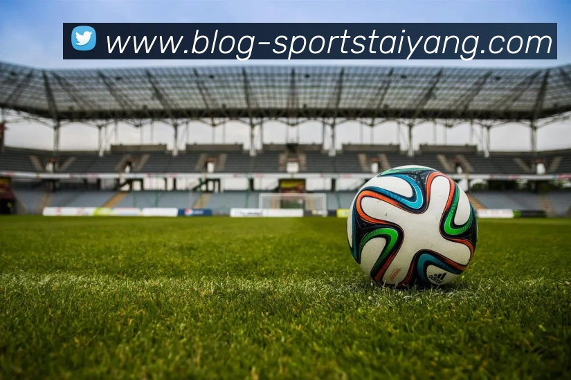 奖项证书